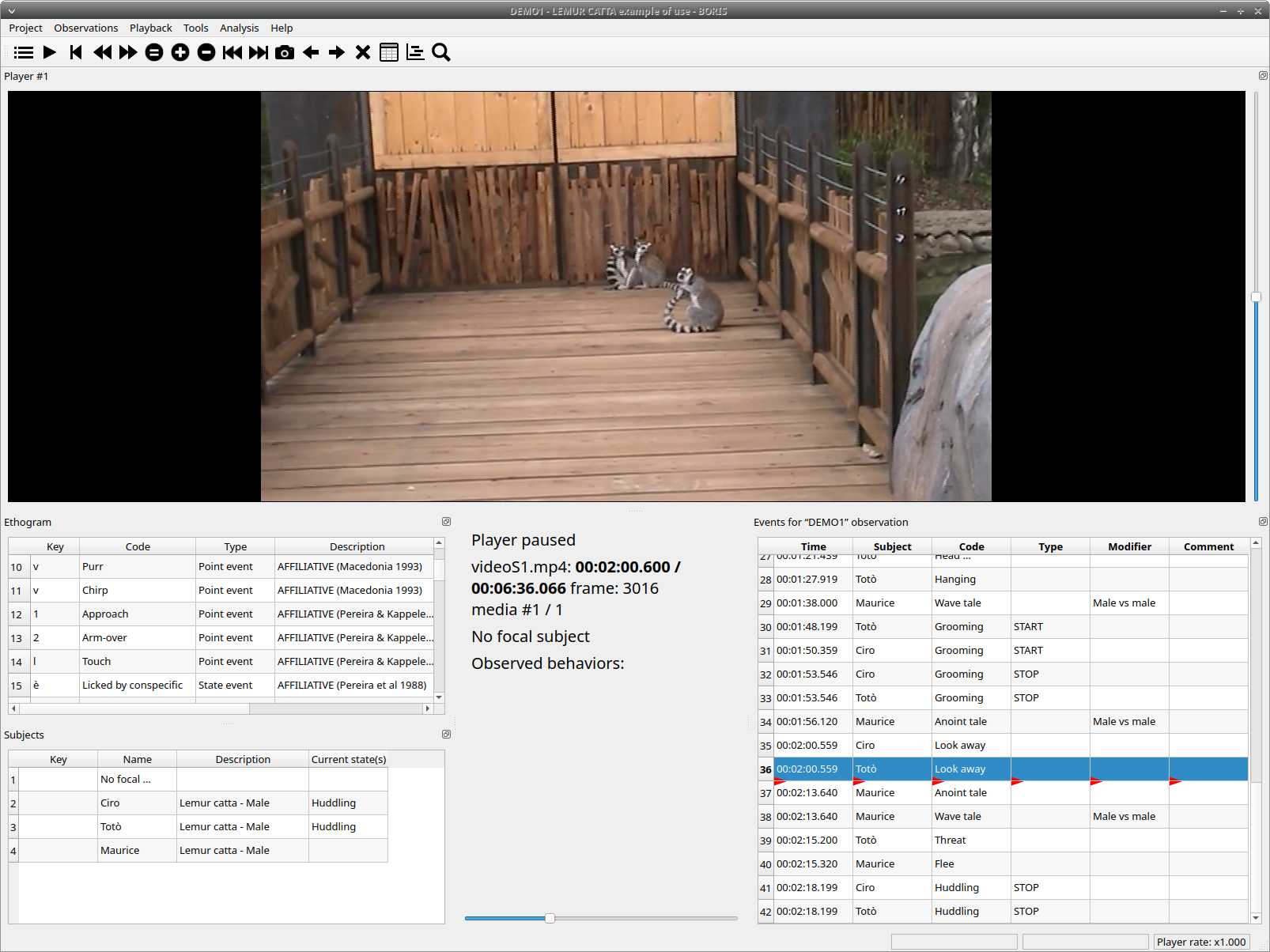 The main window during the observation of one video